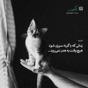 جملات قصار زیگموند فروید