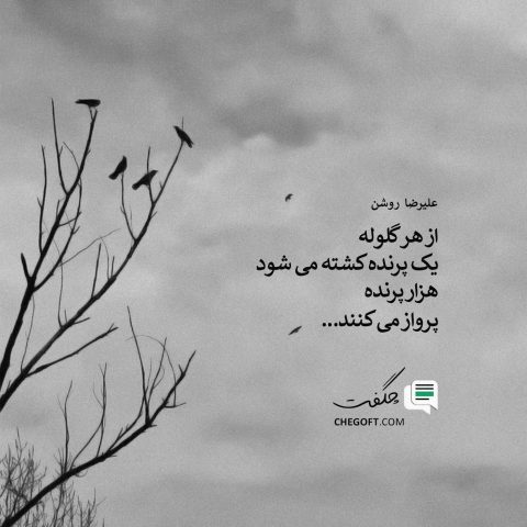 عکس نوشته علیرضا روشن از هر گلوله یک پرنده کشته می شود هزار