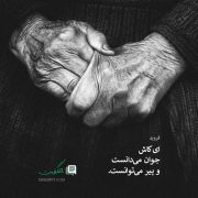 جملات قصار زیگموند فروید