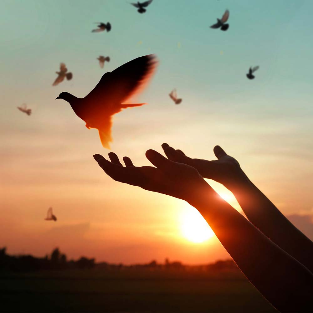 جملات عرفانی جملات عرفانی