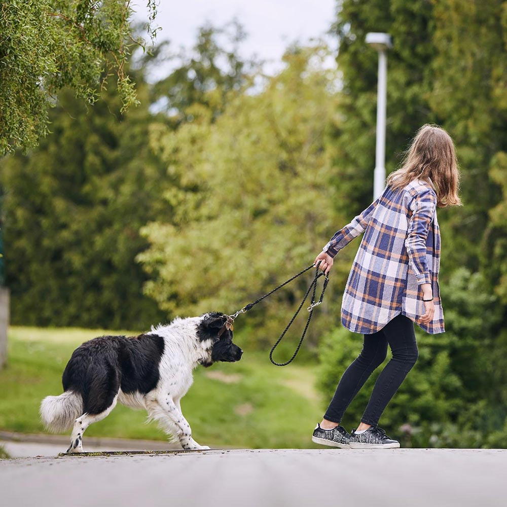 جمله درباره سنگدلی جمله درباره سنگدلی