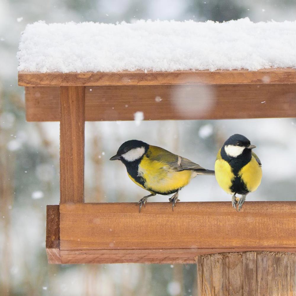 جمله درباره زمستان جمله درباره زمستان